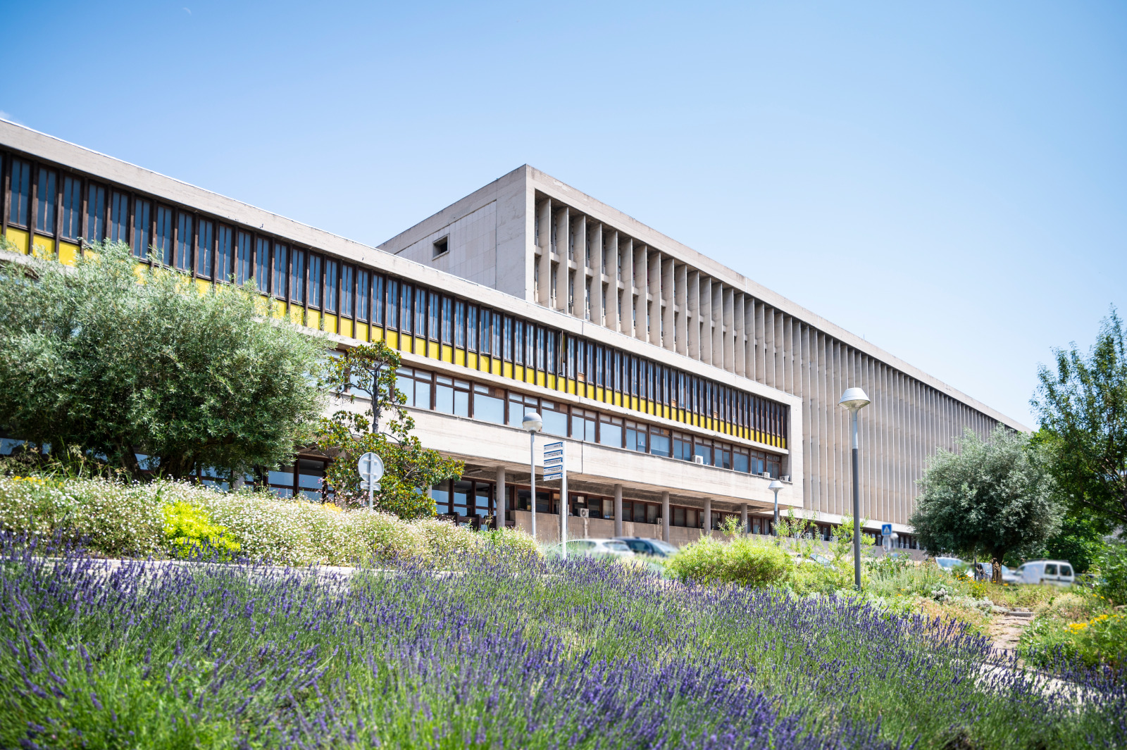 MarMaRa Institut Marseille Maladie Rares MarMaRa Institut Marseille Maladie Rares