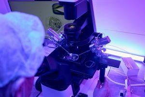 photo of a microscope